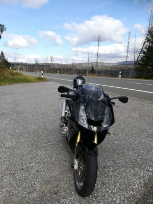 Gestern im Harz, da sieht es zur Zeit nicht schön aus.