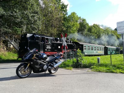 Sachsen unter sich<br />Sachsenromantik